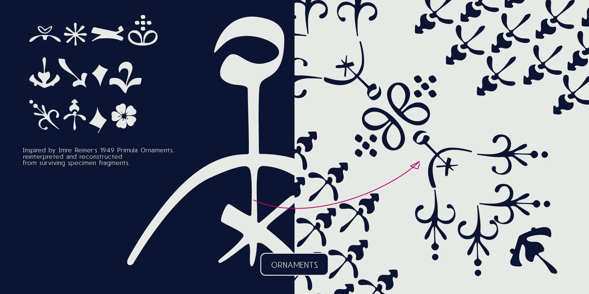 Reiner_Neue_Specimen_myfonts_2000x1000px11