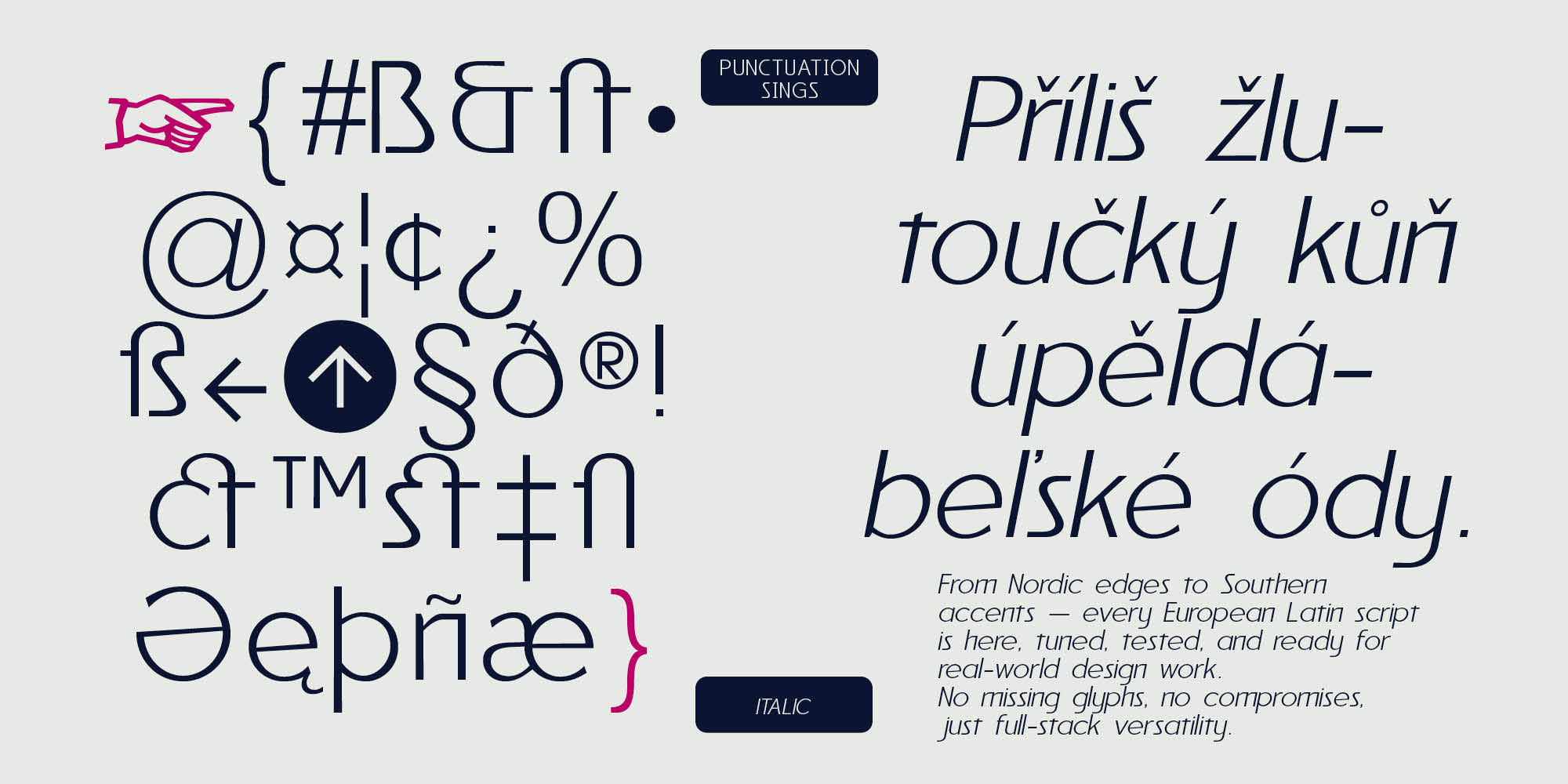 Reiner_Neue_Specimen_myfonts_2000x1000px4
