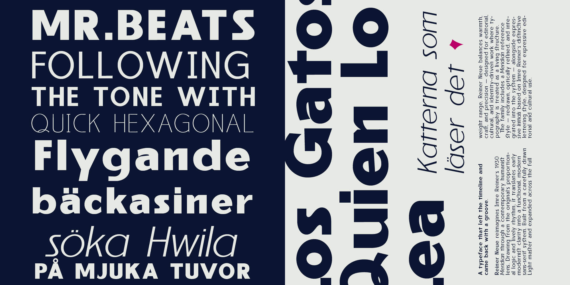 Reiner_Neue_Specimen_myfonts_2000x1000px5